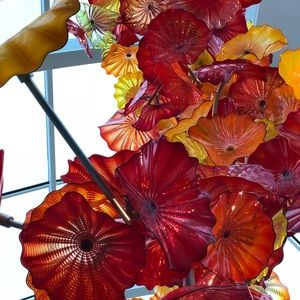 Meet your Posher, Vahideh